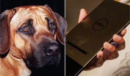 土狗交配视频,自然繁衍的生动写照